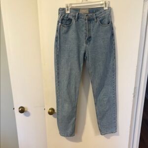 Everlane The 90s Cheeky Jean